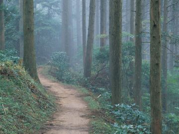 大橋俊彦税理士事務所