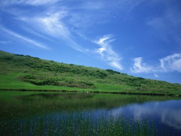 岩間公認会計士事務所