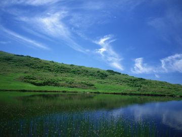 狩野操子税理士事務所