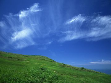 千田秀嗣税理士事務所