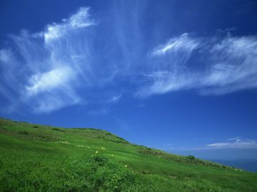 浅沼・平野合同事務所（税理士法人）