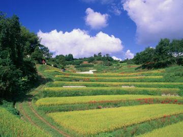 西山誠税理士事務所